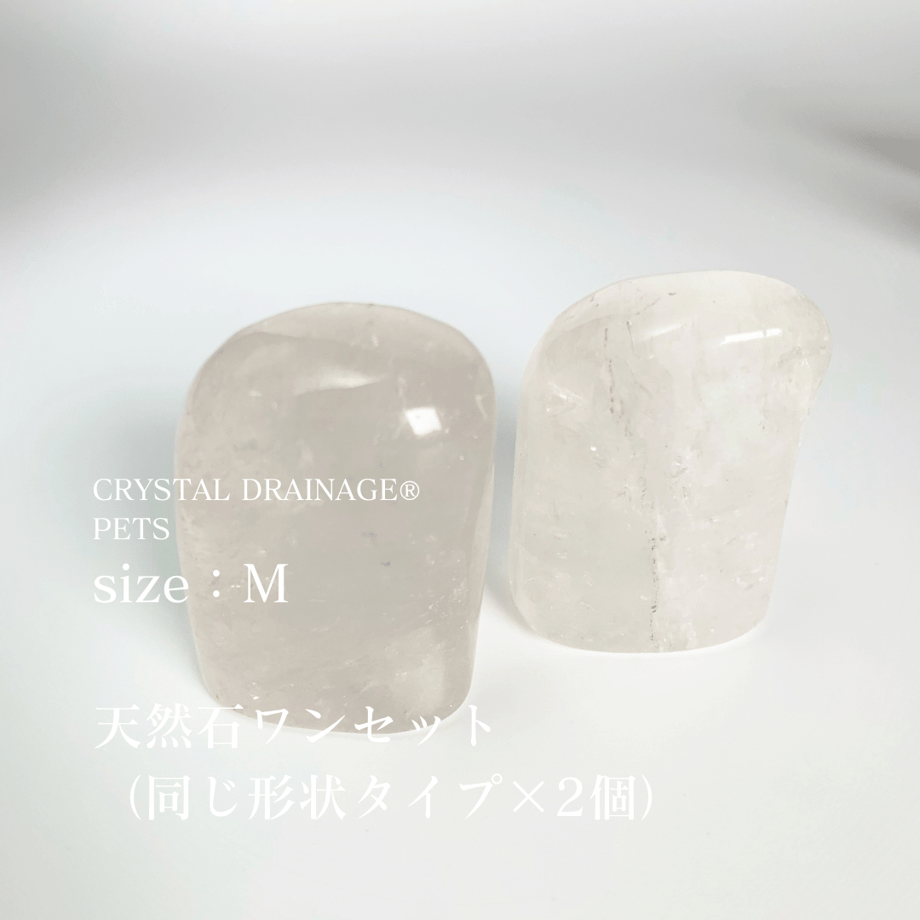 662f16d960a81b14484fa441