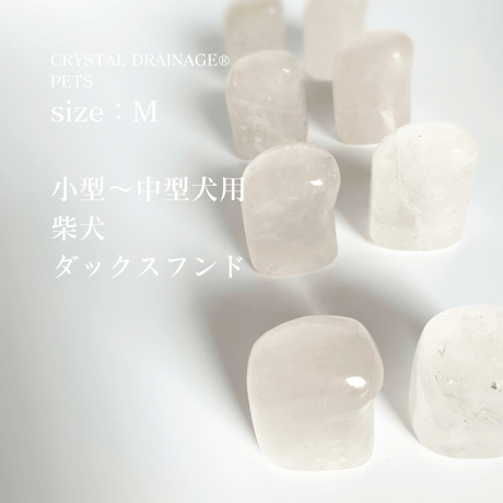 ペット専用のクリスタルドレナージュ®︎Mサイズ数量限定！天然水晶