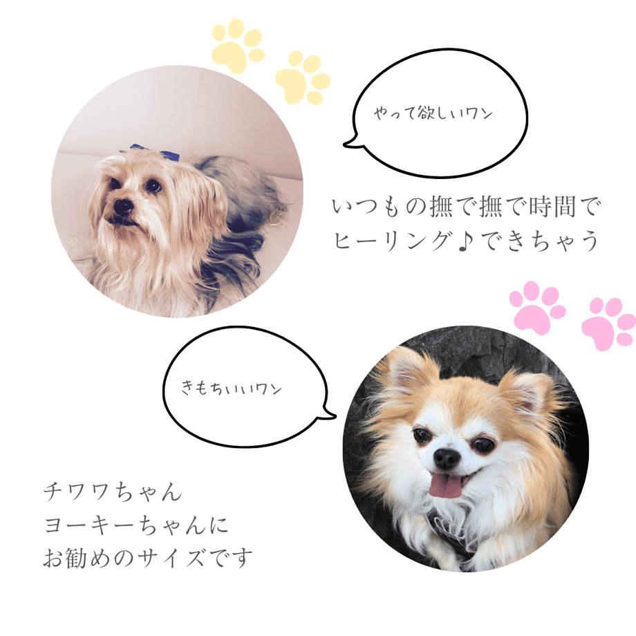 654219e9e126f805d1510f8f