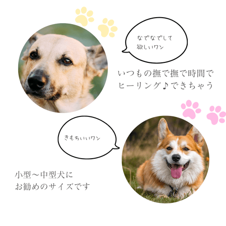 ペット専用のクリスタルドレナージュ®︎Ｌサイズ数量限定！天然水晶