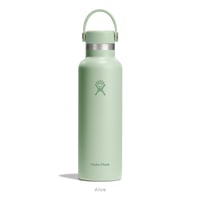 <Hydro Flask>21 oz Standard Mouth/Aloe/5089014