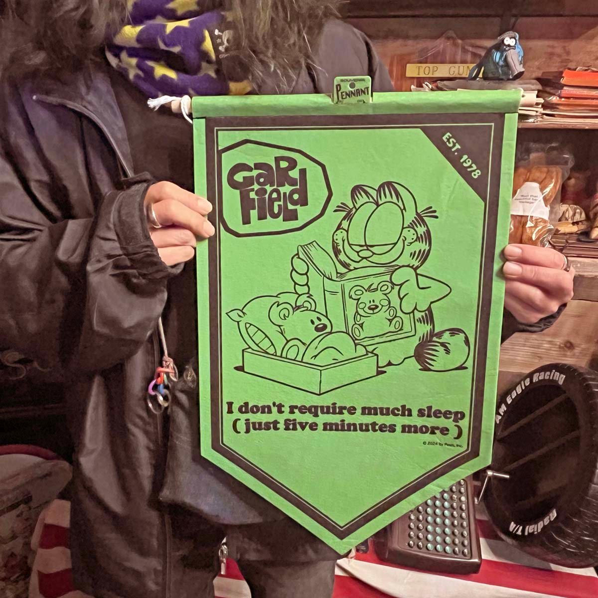 VINTAGE STYLE 】ホームベース型タペストリー BETTY & GARFIELD