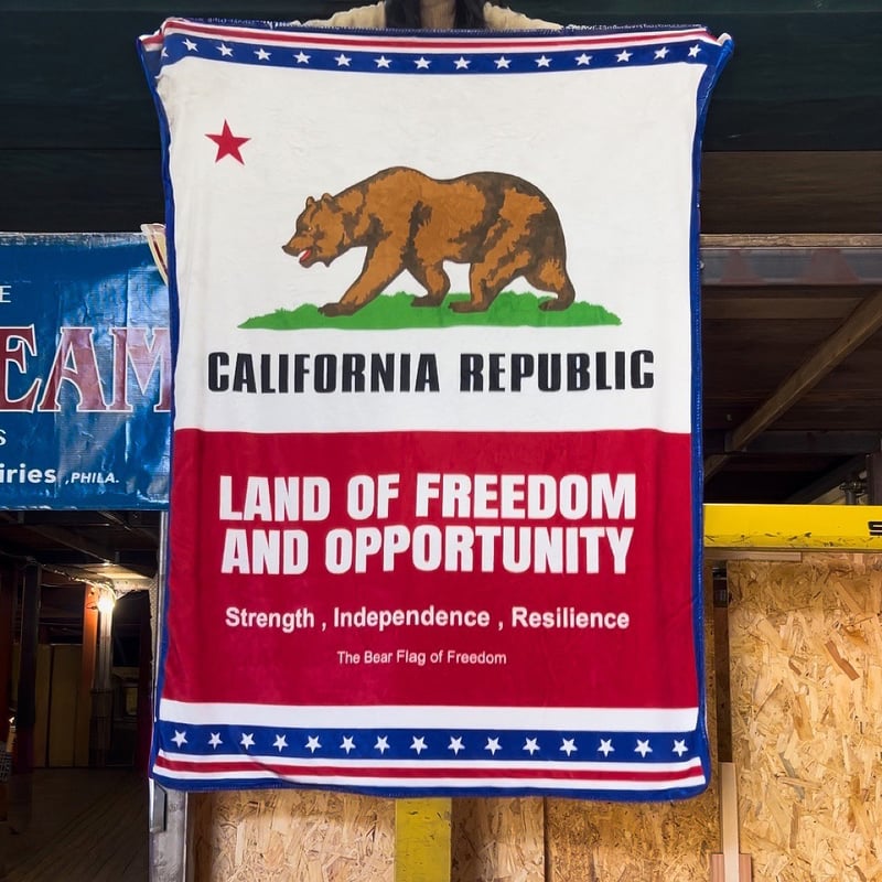 大判 Lサイズ】【極暖】ふわふわ もこもこ AMERICAN BOA ブランケット