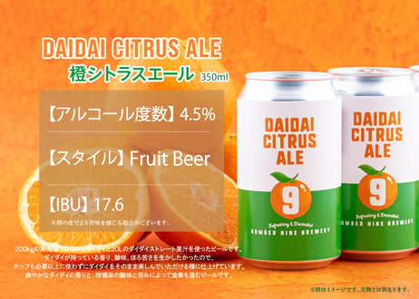 【No.9 BREWERY】DAIDAI CITRUS（橙シトラスエール）ナンバーナインブルワリー・クラフトビール [ 缶6本セット]