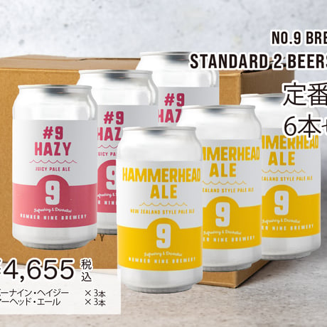 【No.9 BREWERY】ナンバーナインブルワリー・クラフトビール [2種×各3本] 缶6本セット