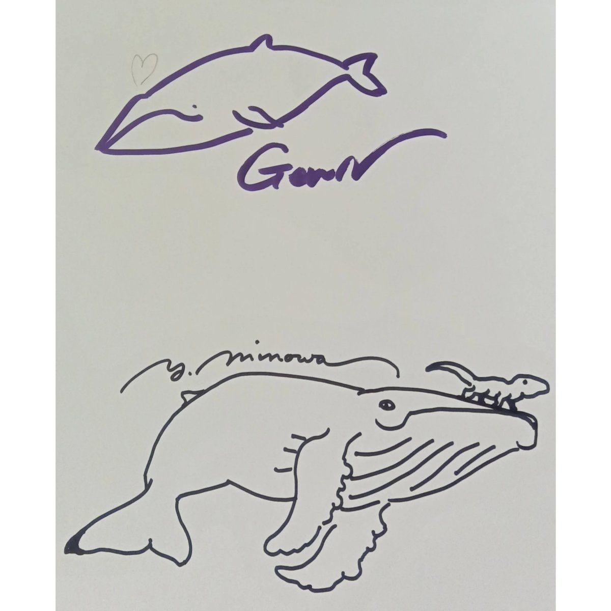 サイン本］『海でつばさを手に入れる』 | bookhousecafe