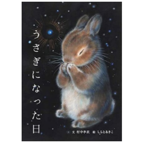 しらとあきこ　うさぎ　ピルケース　小物入れ　レア しらとあきこ うさぎ ピルケース 小物入れ レア サプリケース