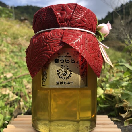 薫るはちみつ　春うらら 【大】500g瓶