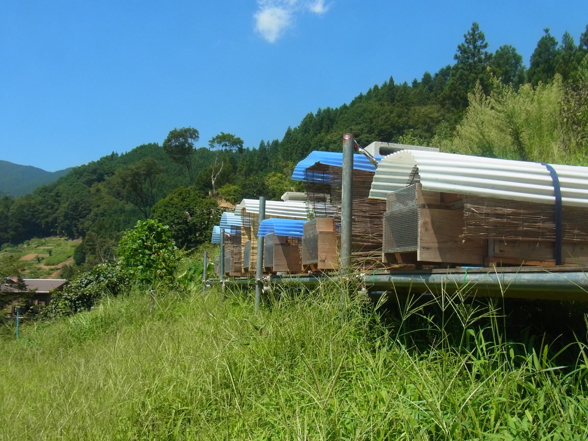 薫るはちみつ 天空の果樹【中】190g瓶 | 薫る養蜂園