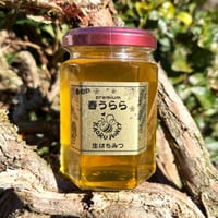 薫るはちみつ 【春うらら】自家用エコ装飾無【中】190g瓶