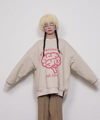 BIG experimenter pullover