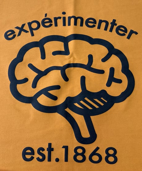 experimenter regular pullover