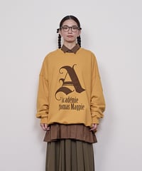 BIG A(cadémie) pullover