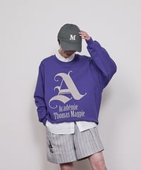 A(cadémie) regular pullover