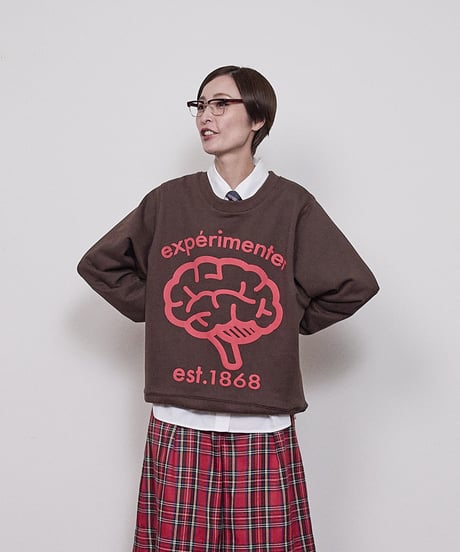 experimenter regular pullover