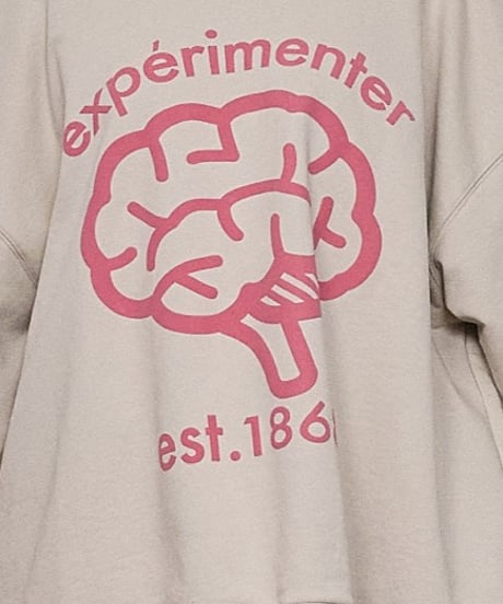 experimenter regular pullover