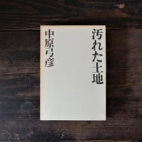 汚れた土地　―わがぴかれすくー