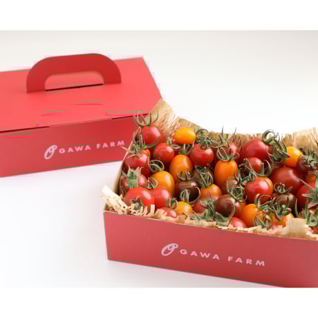 リコピン | STORES