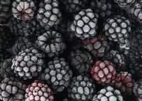 農薬不使用、国産冷凍ブラックベリー1kg 【税込、送料別】