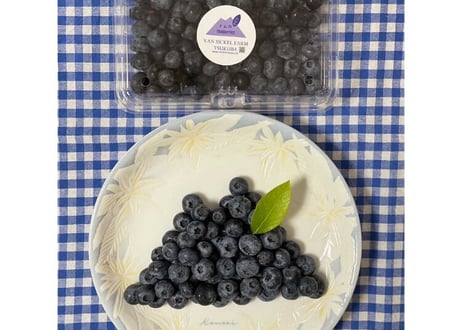 期間限定！農薬不使用、国産生ブルーベリー　500g 【税込、送料別】