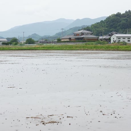 旭菊 大地 特別純米 1800ml