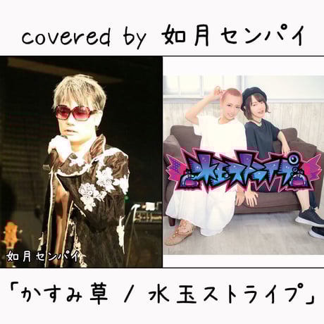 如月センパイ が歌う 水玉ストライプ『かすみ草』