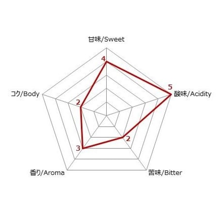 エチオピア　イルガチェフェ　イディド　【浅煎り】ドリップバッグ 5個入り