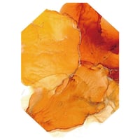 インド　SeLection 33　ウォッシュド　【中深煎り】豆 or 粉 150g