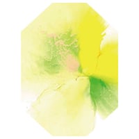 エチオピア　イルガチェフェ　イディド　【浅煎り】豆 or 粉150g