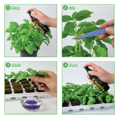 Clonex Rooting Gel 100ml | growshop hifumi