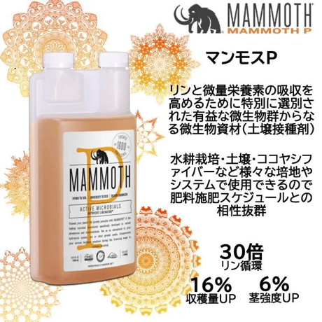 ※お取り寄せ Mammoth P 1L