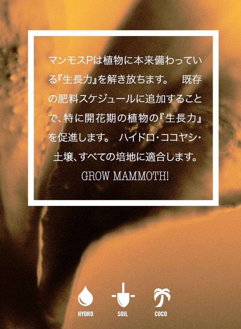 お取り寄せ Mammoth P 250ml | growshop hifumi 