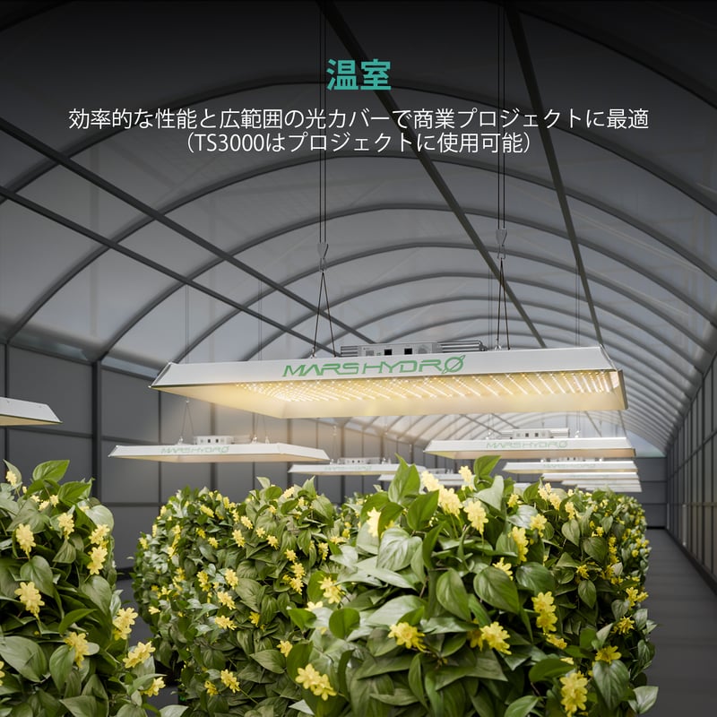 Mars Hydro TS3000 420W | growshop hifumi