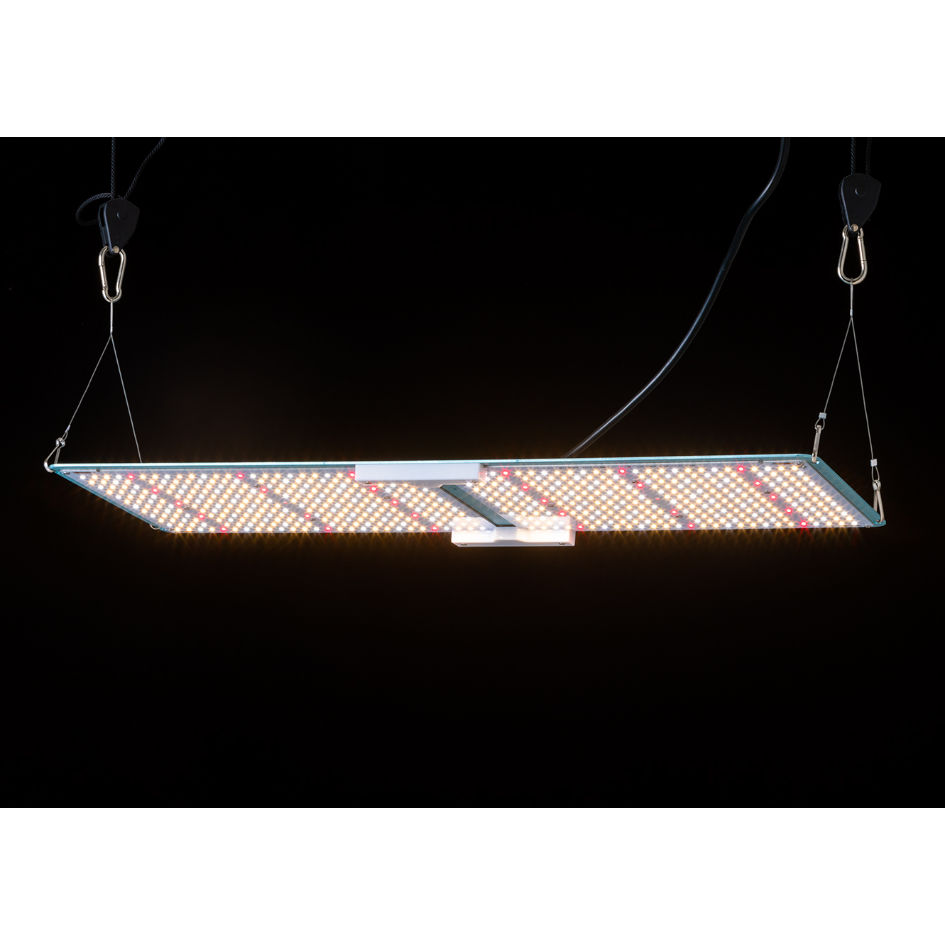 sodatec LED 01-200W | growshop hifumi