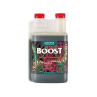 Boost 250ml