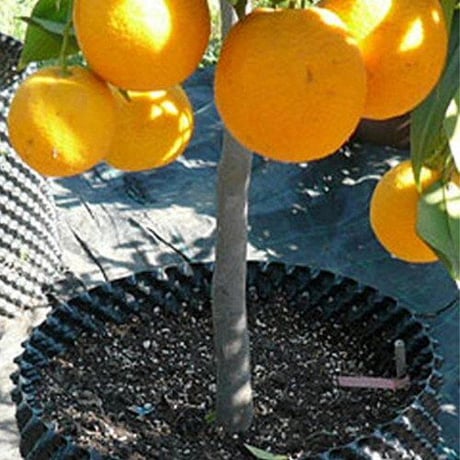 Root-Pruning Pot 8L