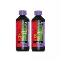 B'CUZZ COCO A/B 500ml