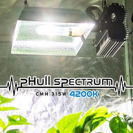 pHull Spectrum CMH 315W Lamp（4200K 生長期）