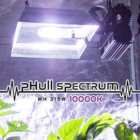 pHull Spectrum CMH 315W Lamp（10000K フィニッシュ）