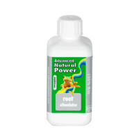 お取り寄せ Turbo Klone 24株 | growshop hifumi