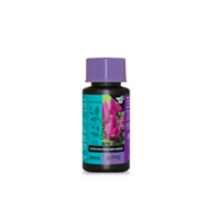 B'CUZZ BLOSSOM BUILDER LIQUID 100ml