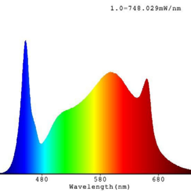 sodatec LED 01-200W | growshop hifumi