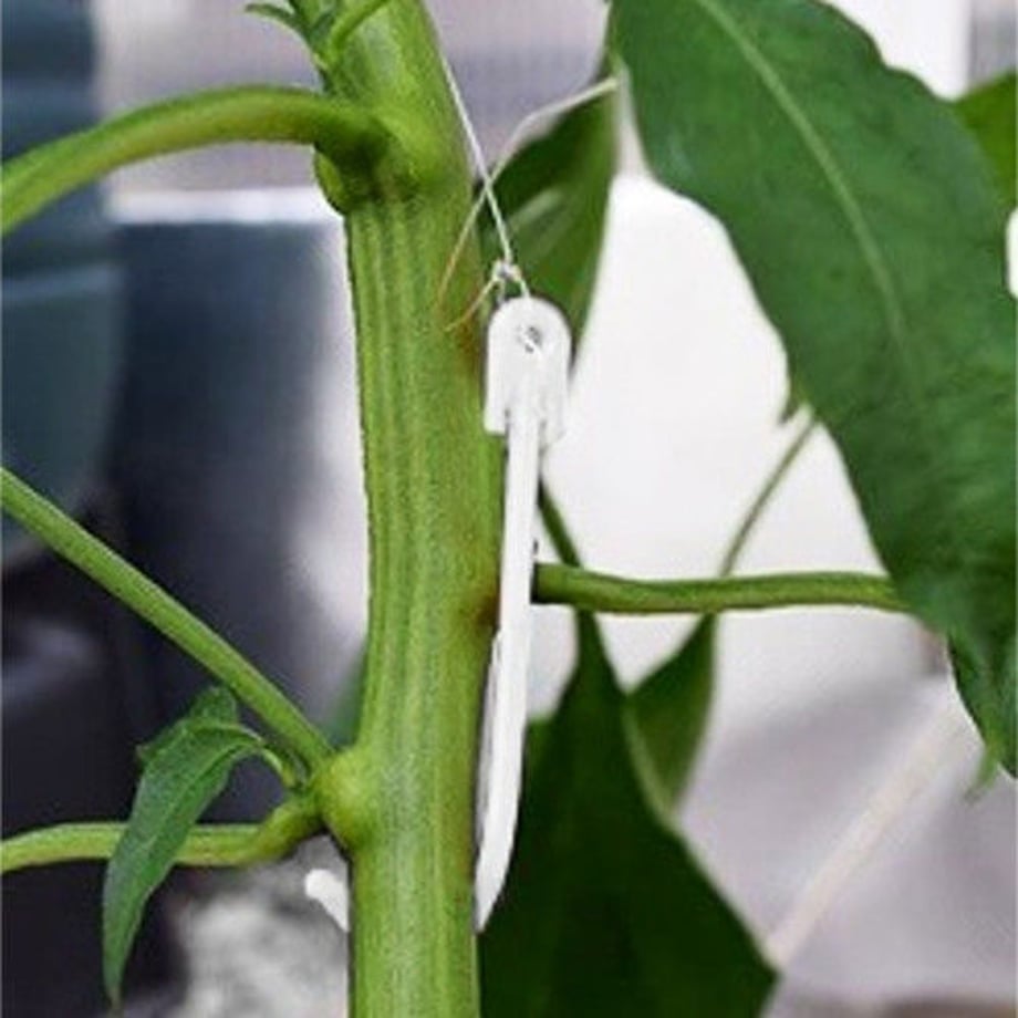 5f44c89dd7e1d8258e7a5844