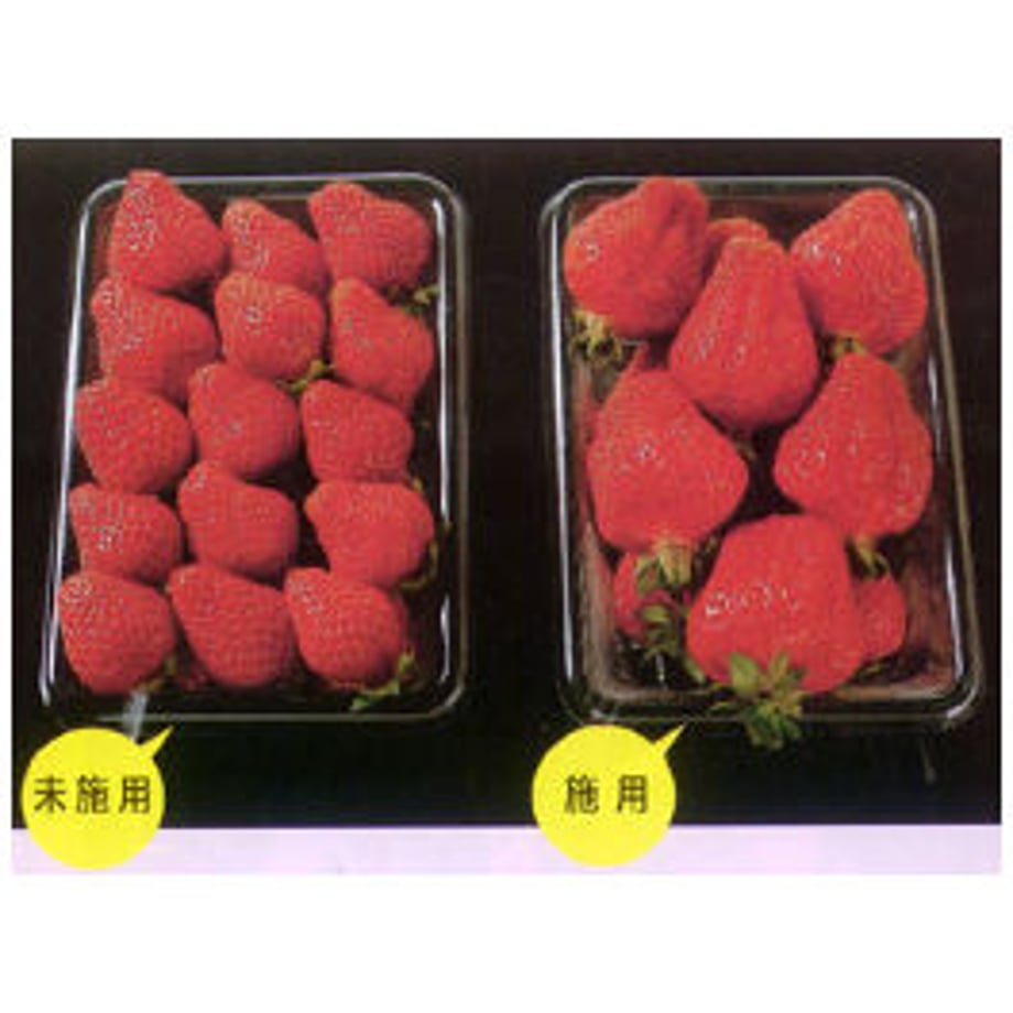 5f127a5a13a48b5ee5b022a6