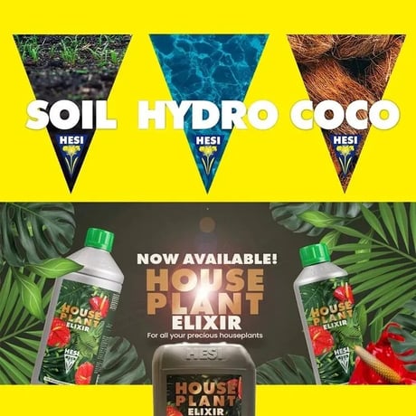 ※お取り寄せ HousePlant Elixir 5L