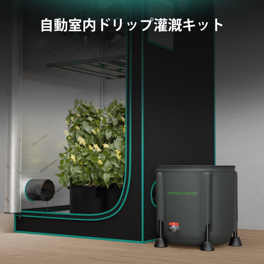 67e276c7b14f5811ac6afd57