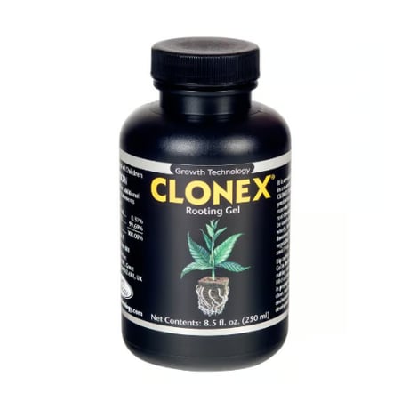 CATEGORY 発芽・挿し木(クローン) | growshop hifumi