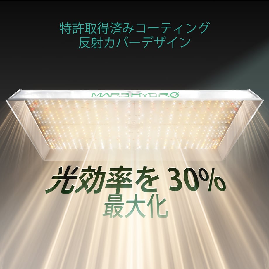 67da72ef45c8a9cd7b6406f6