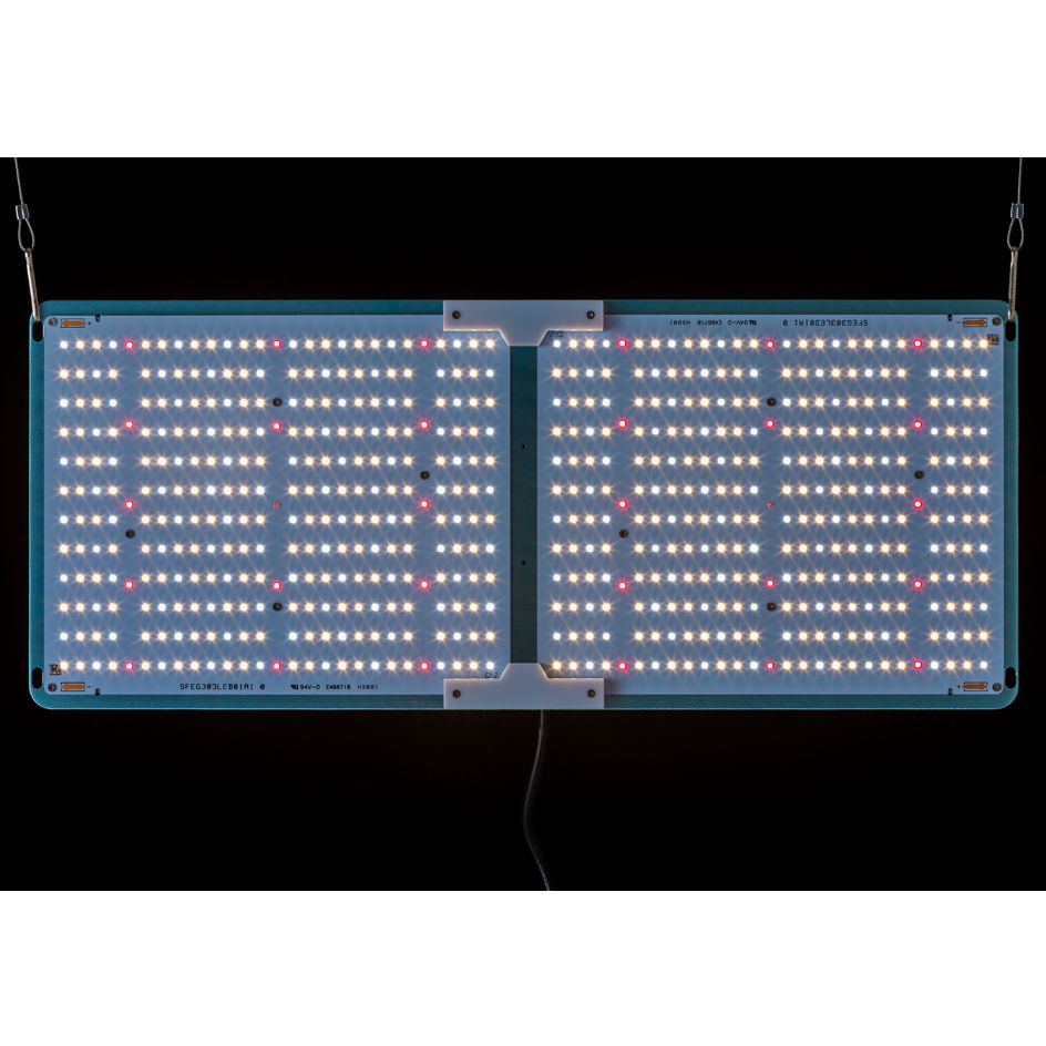 sodatec LED 01-200W | growshop hifumi