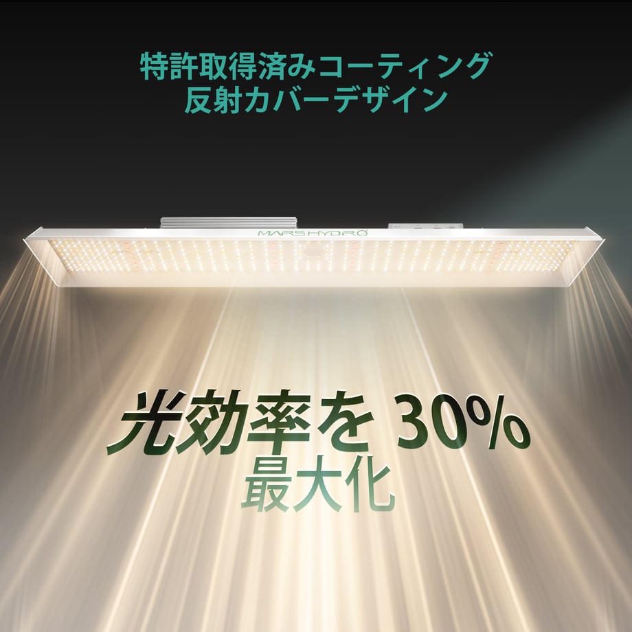 67da7301ad6dc1d90032c47e